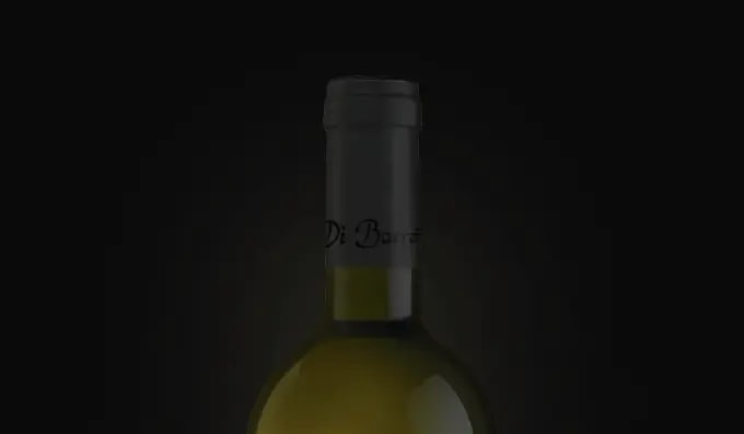 Slice of a wine bottle