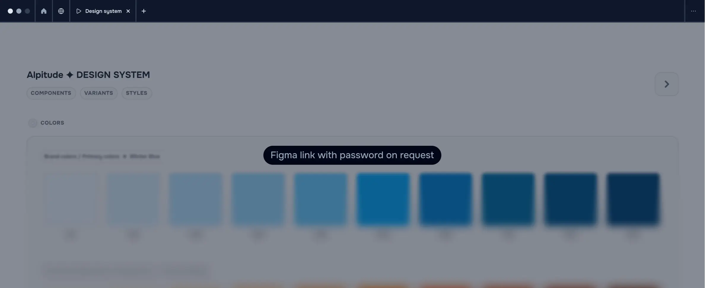 The design system created with the developer.